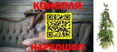 прущие крисы Кунгур