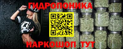 индика Кулебаки