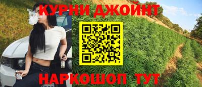 индика Кулебаки