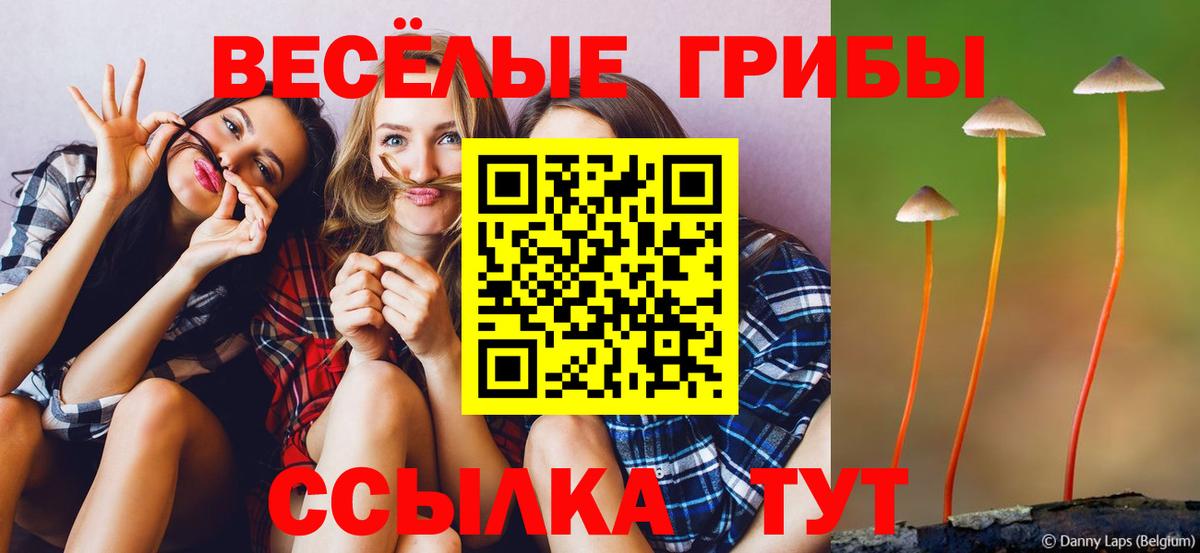 Черняховск  Галлюциногенные грибы ЛСД  Вход с VPN 